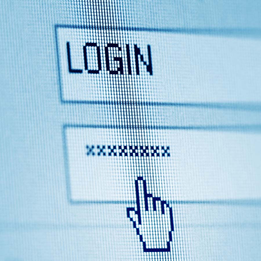 Login info is seen on a computer screen.